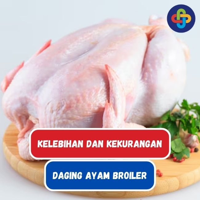 Tidak Hanya Tebal dan Empuk, Ini Dia Kelebihan Ayam Broiler